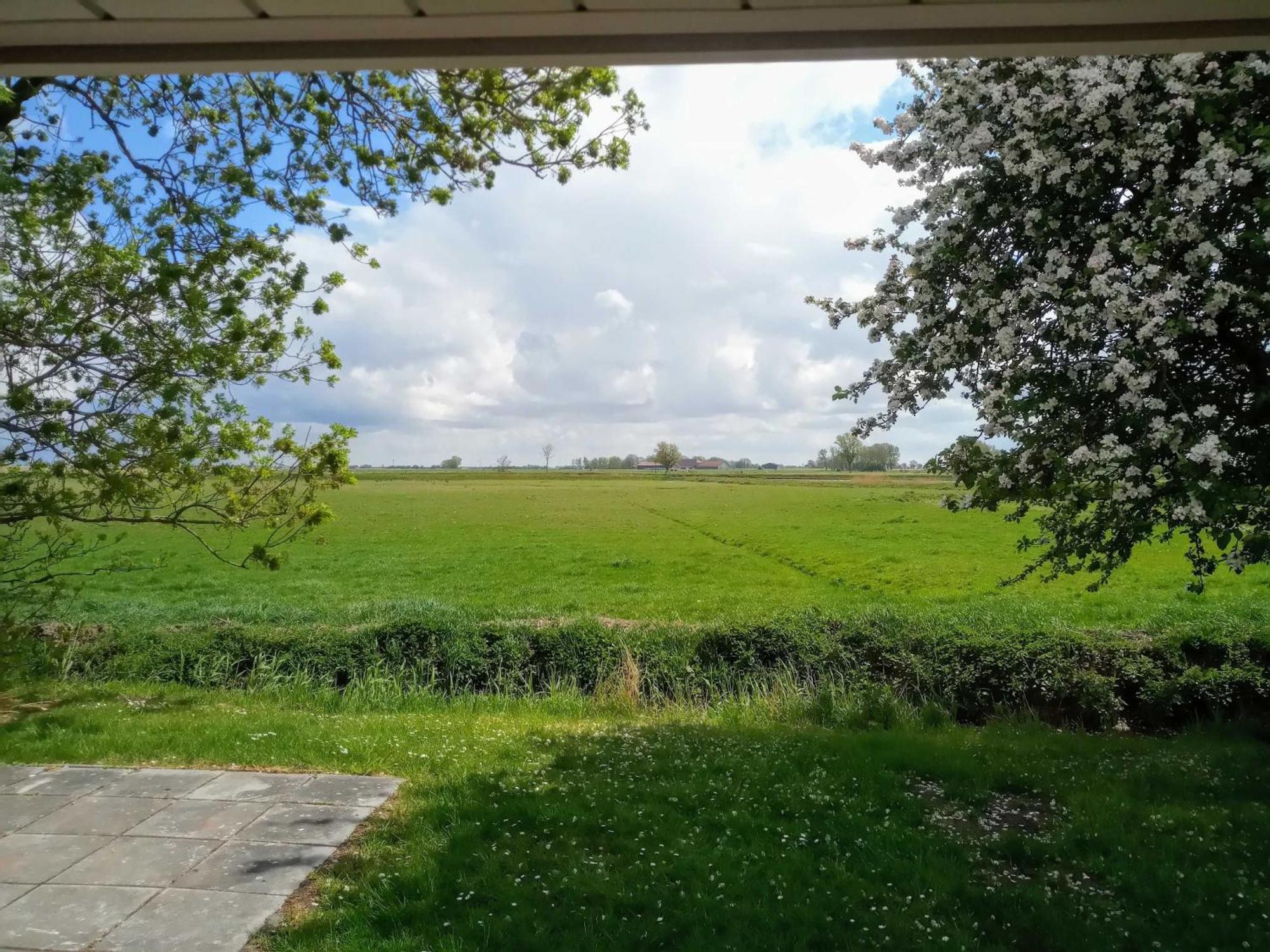 Fischerhaus Am Deich 45233 Jemgum Buitenkant foto